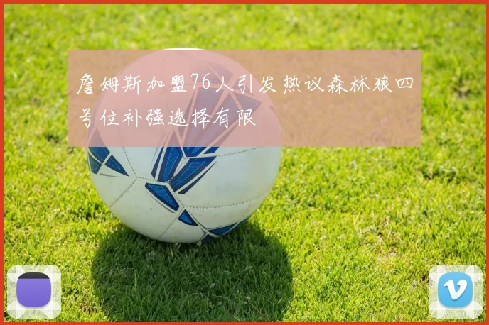 詹姆斯加盟76人引发热议森林狼四号位补强选择有限